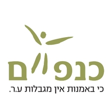 כנפיים